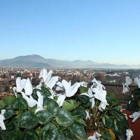 Casa Fontana Del Delfino Apartment