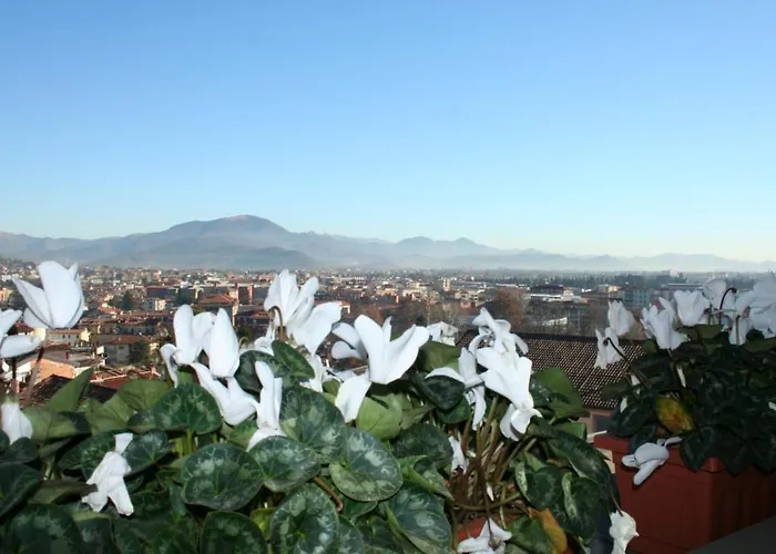 Casa Fontana Del Delfino Appartement